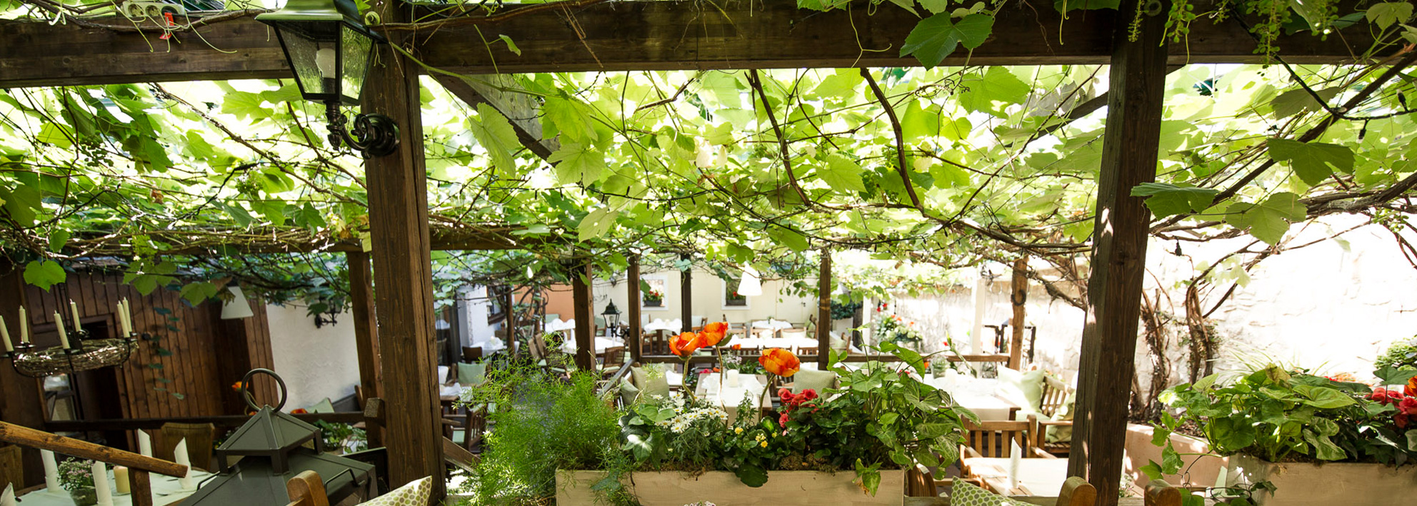 Schurk Markelsheim - Weinlauben Restaurant - Weinlaube